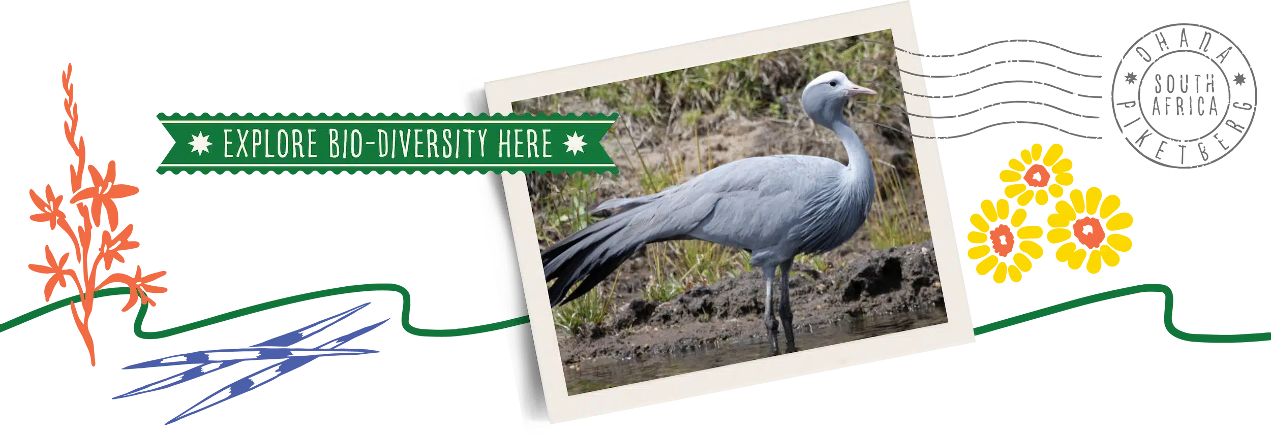 M. about ohana bottom mobile