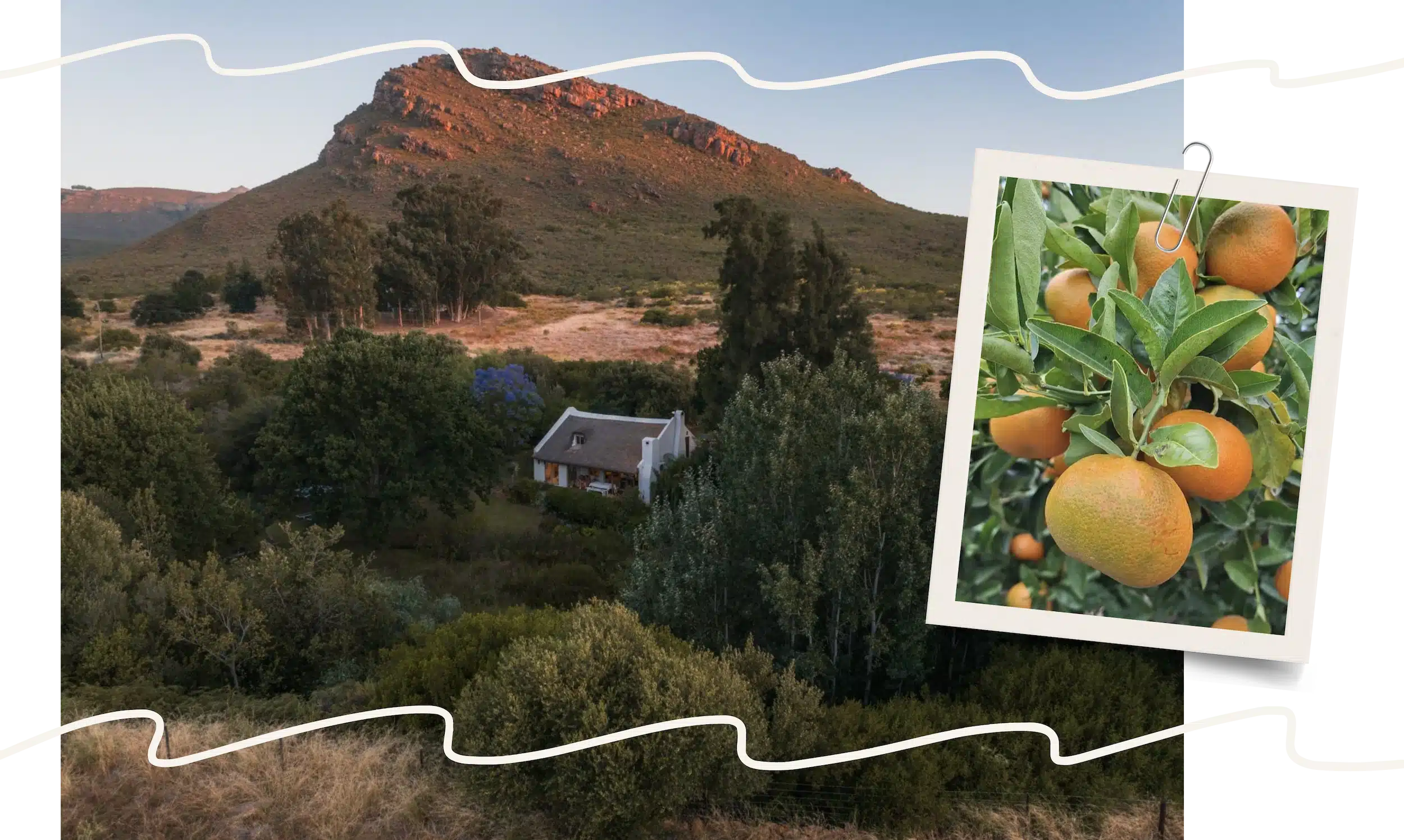 M. about ohana top mobile